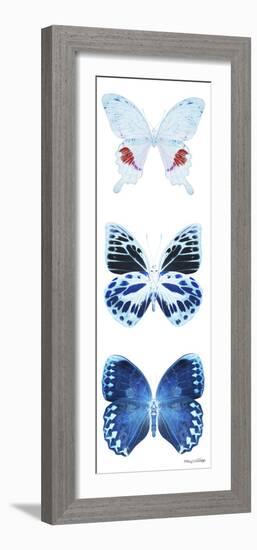 Miss Butterfly X-Ray White Pano-Philippe Hugonnard-Framed Photographic Print