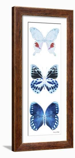 Miss Butterfly X-Ray White Pano-Philippe Hugonnard-Framed Photographic Print