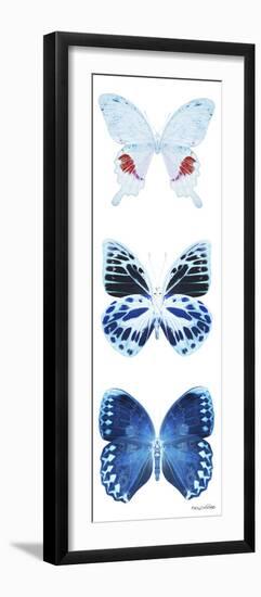 Miss Butterfly X-Ray White Pano-Philippe Hugonnard-Framed Photographic Print