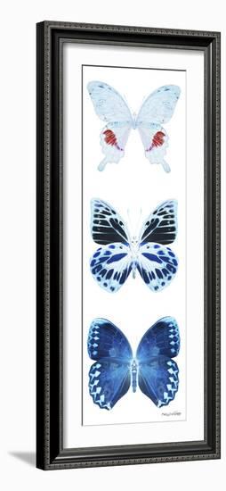 Miss Butterfly X-Ray White Pano-Philippe Hugonnard-Framed Photographic Print