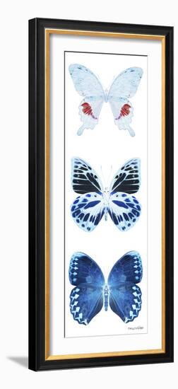 Miss Butterfly X-Ray White Pano-Philippe Hugonnard-Framed Photographic Print