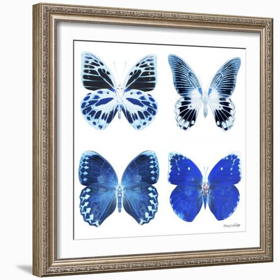 Miss Butterfly X-Ray White Square II-Philippe Hugonnard-Framed Photographic Print