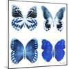 Miss Butterfly X-Ray White Square II-Philippe Hugonnard-Mounted Photographic Print