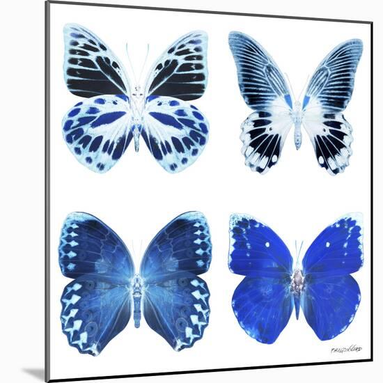 Miss Butterfly X-Ray White Square II-Philippe Hugonnard-Mounted Photographic Print