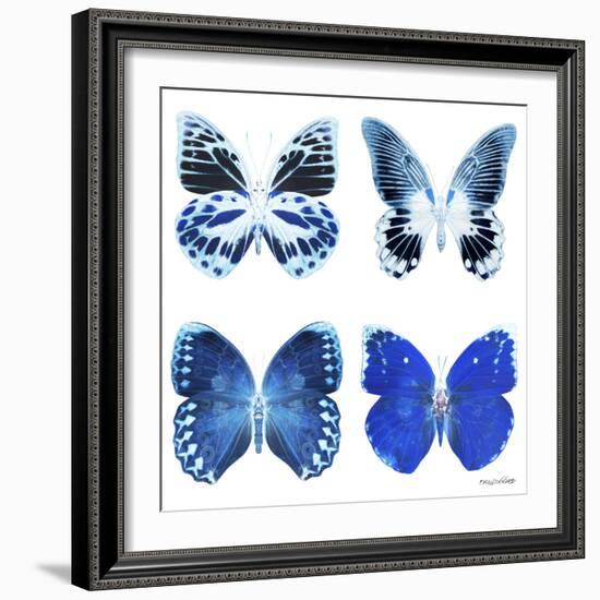 Miss Butterfly X-Ray White Square II-Philippe Hugonnard-Framed Photographic Print