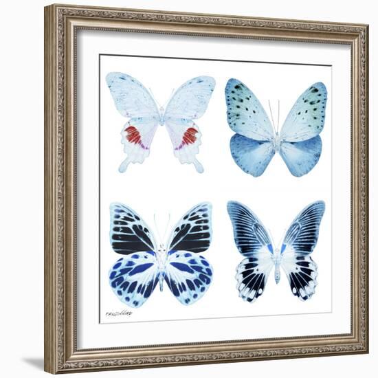 Miss Butterfly X-Ray White Square-Philippe Hugonnard-Framed Photographic Print