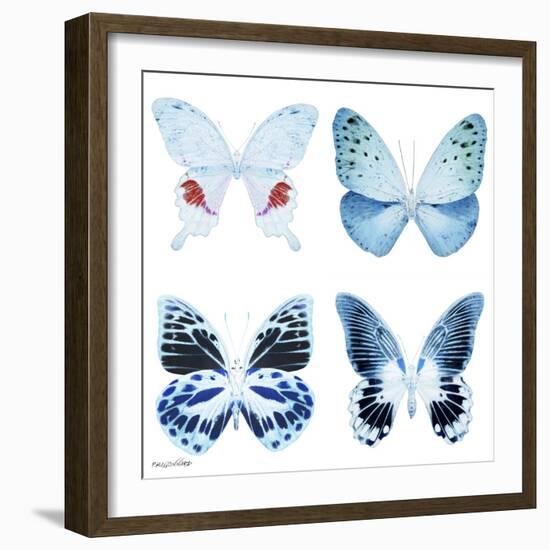 Miss Butterfly X-Ray White Square-Philippe Hugonnard-Framed Photographic Print