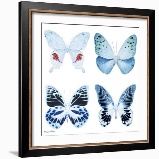 Miss Butterfly X-Ray White Square-Philippe Hugonnard-Framed Photographic Print