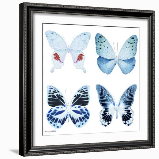 Miss Butterfly X-Ray White Square-Philippe Hugonnard-Framed Photographic Print