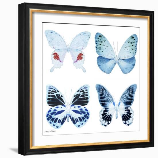 Miss Butterfly X-Ray White Square-Philippe Hugonnard-Framed Photographic Print