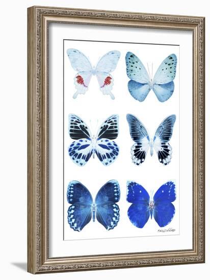 Miss Butterfly X-Ray White-Philippe Hugonnard-Framed Photographic Print