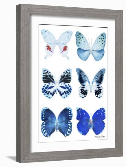 Miss Butterfly X-Ray White-Philippe Hugonnard-Framed Photographic Print