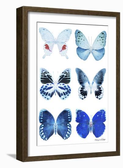 Miss Butterfly X-Ray White-Philippe Hugonnard-Framed Photographic Print