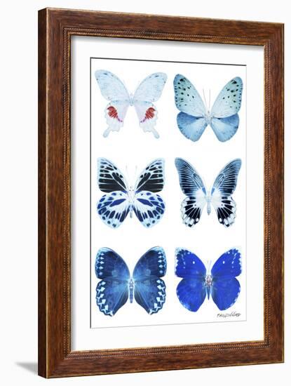 Miss Butterfly X-Ray White-Philippe Hugonnard-Framed Photographic Print