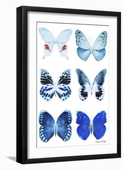 Miss Butterfly X-Ray White-Philippe Hugonnard-Framed Photographic Print
