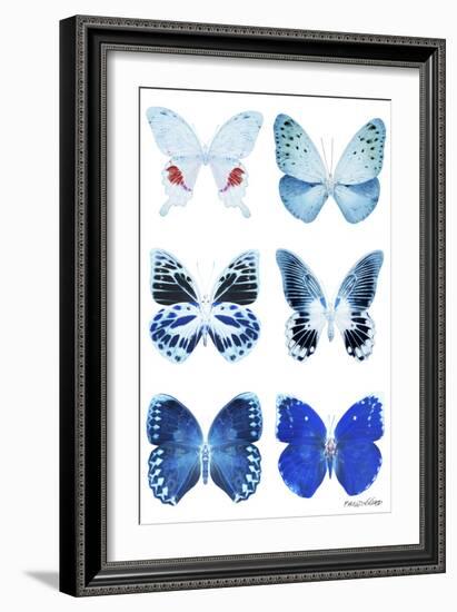 Miss Butterfly X-Ray White-Philippe Hugonnard-Framed Photographic Print