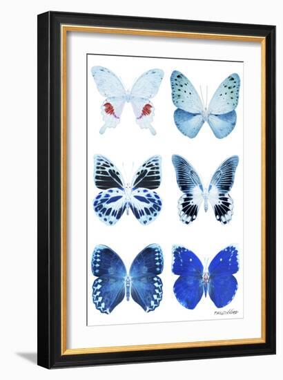 Miss Butterfly X-Ray White-Philippe Hugonnard-Framed Photographic Print