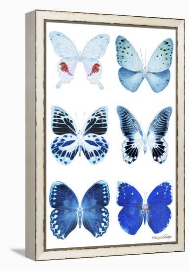 Miss Butterfly X-Ray White-Philippe Hugonnard-Framed Premier Image Canvas