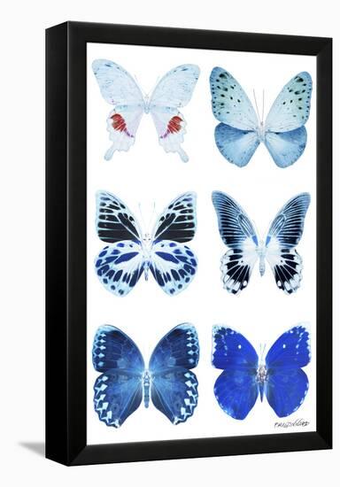 Miss Butterfly X-Ray White-Philippe Hugonnard-Framed Premier Image Canvas