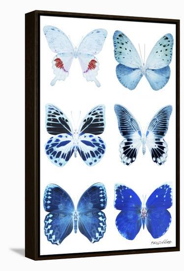 Miss Butterfly X-Ray White-Philippe Hugonnard-Framed Premier Image Canvas