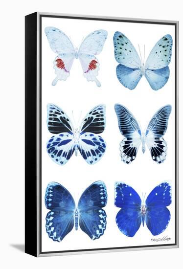 Miss Butterfly X-Ray White-Philippe Hugonnard-Framed Premier Image Canvas