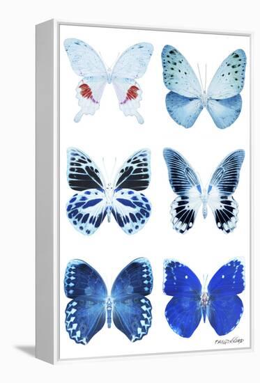 Miss Butterfly X-Ray White-Philippe Hugonnard-Framed Premier Image Canvas