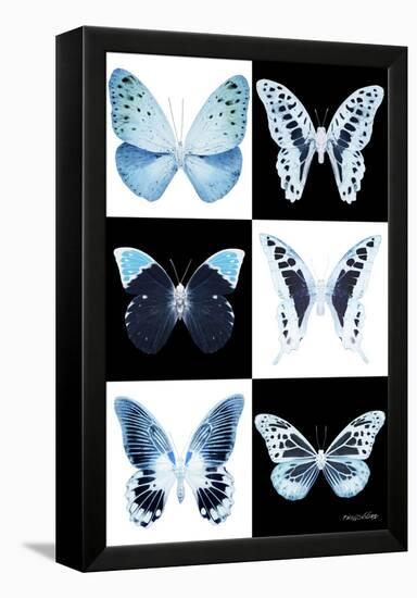 Miss Butterfly X-Ray-Philippe Hugonnard-Framed Premier Image Canvas