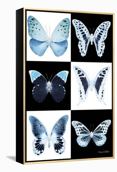 Miss Butterfly X-Ray-Philippe Hugonnard-Framed Premier Image Canvas