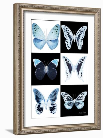 Miss Butterfly X-Ray-Philippe Hugonnard-Framed Photographic Print