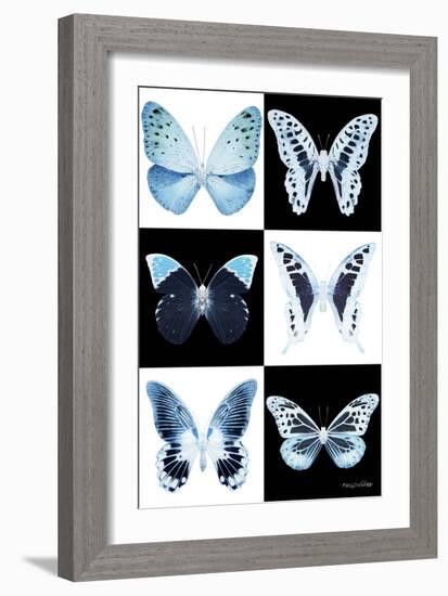 Miss Butterfly X-Ray-Philippe Hugonnard-Framed Photographic Print