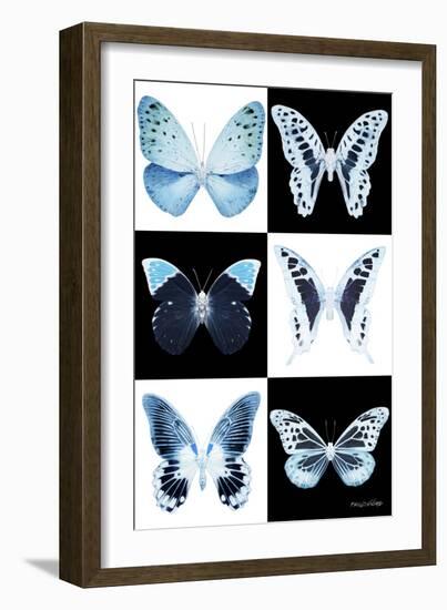 Miss Butterfly X-Ray-Philippe Hugonnard-Framed Photographic Print