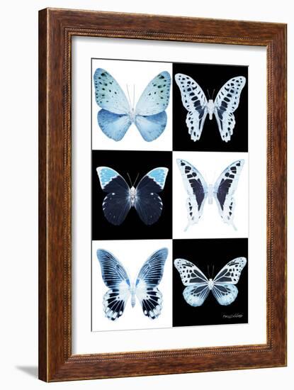 Miss Butterfly X-Ray-Philippe Hugonnard-Framed Photographic Print