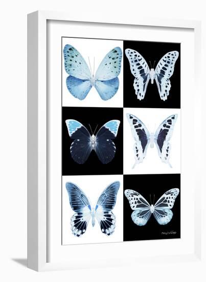 Miss Butterfly X-Ray-Philippe Hugonnard-Framed Photographic Print