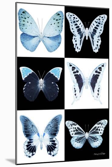 Miss Butterfly X-Ray-Philippe Hugonnard-Mounted Photographic Print
