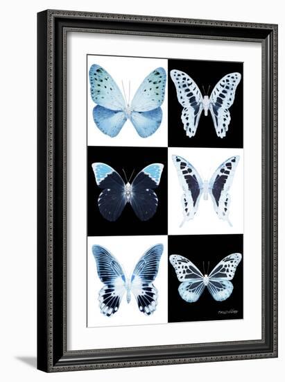 Miss Butterfly X-Ray-Philippe Hugonnard-Framed Photographic Print