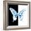 Miss Butterfly Xuthus Sq - X Ray B&W Edition-Philippe Hugonnard-Framed Photographic Print