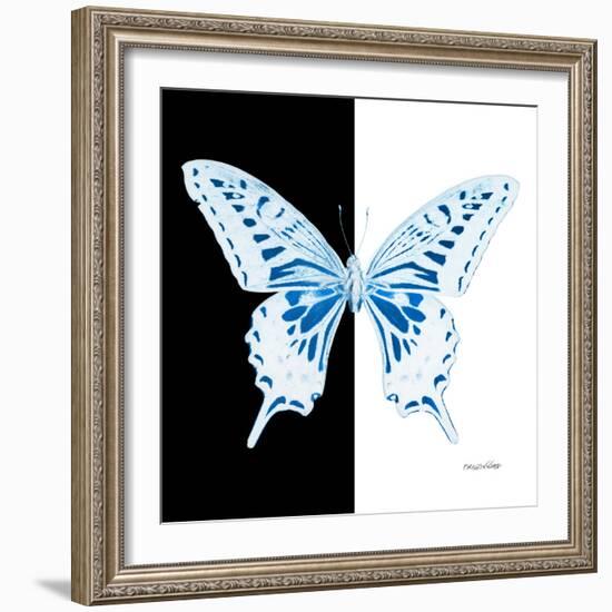 Miss Butterfly Xuthus Sq - X Ray B&W Edition-Philippe Hugonnard-Framed Photographic Print