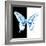 Miss Butterfly Xuthus Sq - X Ray B&W Edition-Philippe Hugonnard-Framed Photographic Print