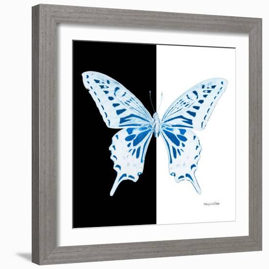 Miss Butterfly Xuthus Sq - X Ray B&W Edition-Philippe Hugonnard-Framed Photographic Print