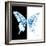 Miss Butterfly Xuthus Sq - X Ray B&W Edition-Philippe Hugonnard-Framed Photographic Print