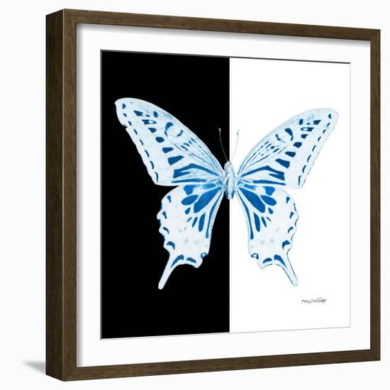 Miss Butterfly Xuthus Sq - X Ray B&W Edition-Philippe Hugonnard-Framed Photographic Print