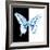 Miss Butterfly Xuthus Sq - X Ray B&W Edition-Philippe Hugonnard-Framed Photographic Print