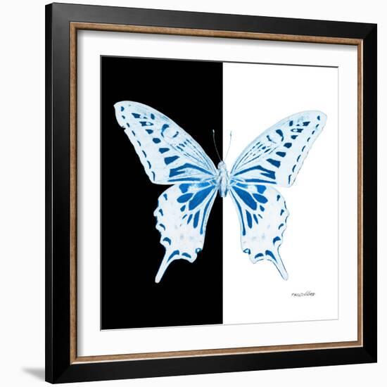 Miss Butterfly Xuthus Sq - X Ray B&W Edition-Philippe Hugonnard-Framed Photographic Print