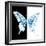 Miss Butterfly Xuthus Sq - X Ray B&W Edition-Philippe Hugonnard-Framed Photographic Print