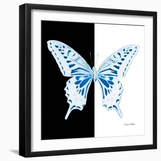 Miss Butterfly Xuthus Sq - X Ray B&W Edition-Philippe Hugonnard-Framed Photographic Print