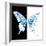 Miss Butterfly Xuthus Sq - X Ray B&W Edition-Philippe Hugonnard-Framed Photographic Print