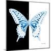 Miss Butterfly Xuthus Sq - X Ray B&W Edition-Philippe Hugonnard-Mounted Photographic Print