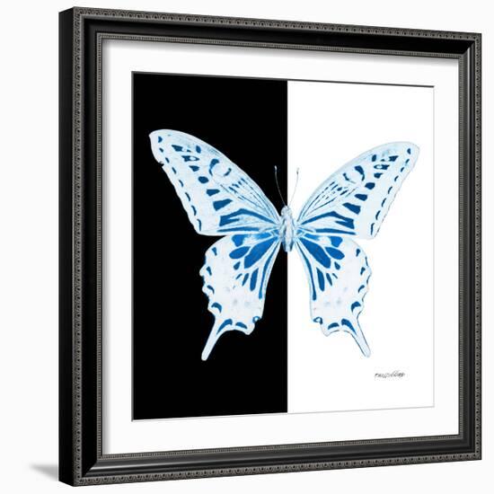 Miss Butterfly Xuthus Sq - X Ray B&W Edition-Philippe Hugonnard-Framed Photographic Print