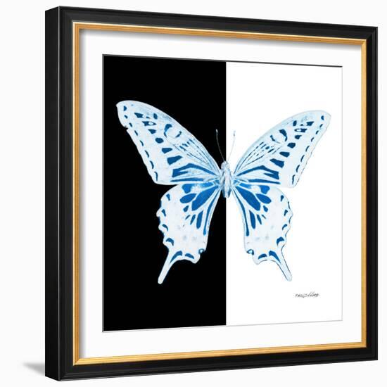 Miss Butterfly Xuthus Sq - X Ray B&W Edition-Philippe Hugonnard-Framed Photographic Print