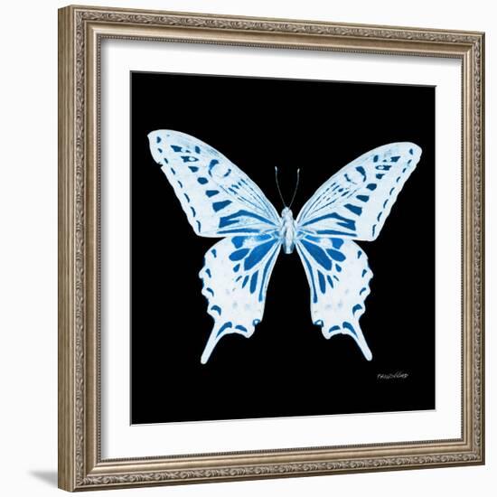 Miss Butterfly Xuthus Sq - X Ray Black Edition-Philippe Hugonnard-Framed Photographic Print